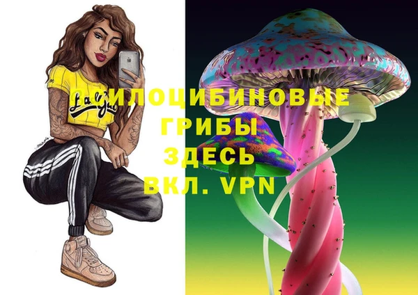 амф Алзамай