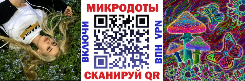 Галлюциногенные грибы Psilocybe  Аргун 