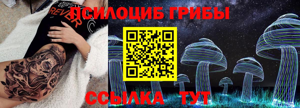 Псилоцибиновые грибы прущие грибы Аргун