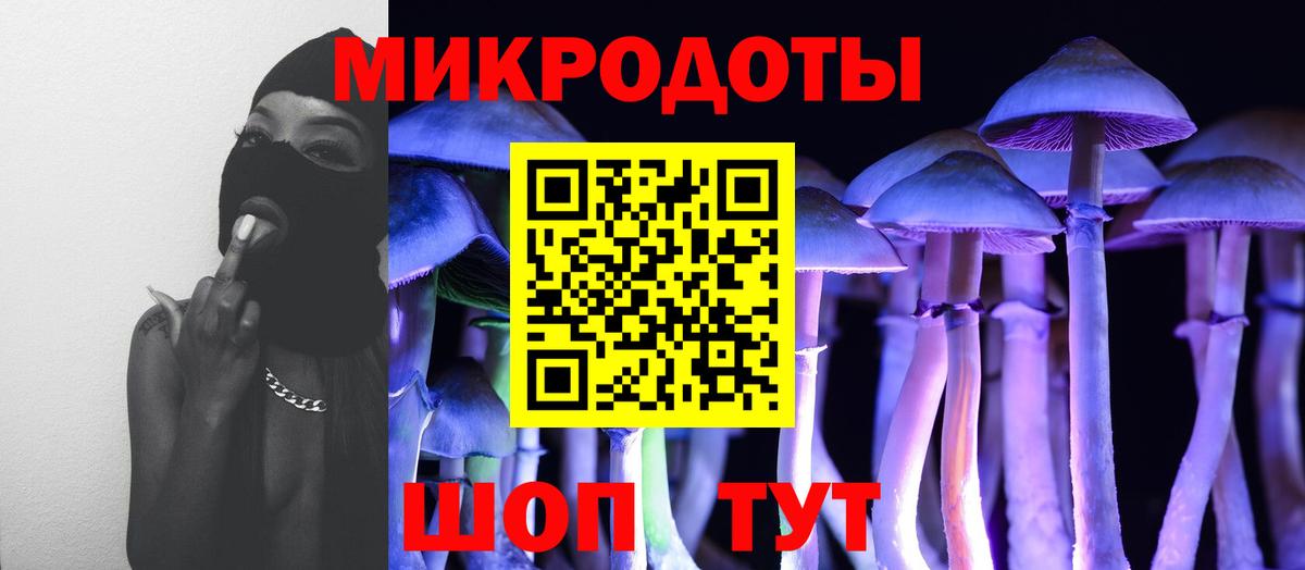 Псилоцибиновые грибы Cubensis  Галлюциногенные грибы мухоморы  Аргун  как найти   Вход с VPN 