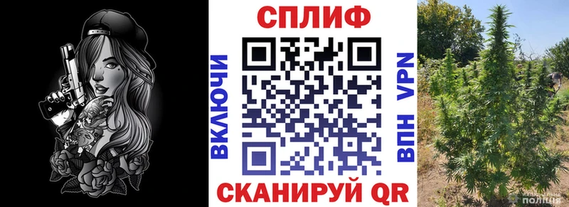 Конопля AK-47  Аргун 